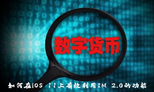   
如何在iOS 11上有效利用IM 2.0的功能