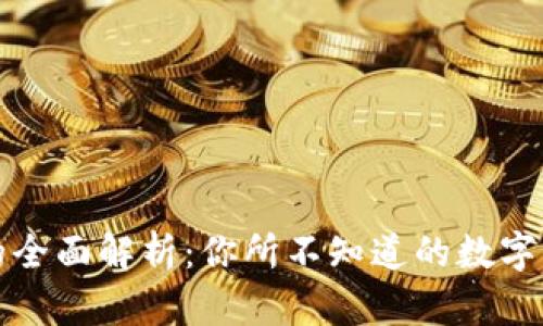 比特币钱包的全面解析：你所不知道的数字资产管理工具