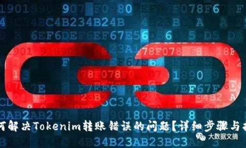 如何解决Tokenim转账错误的问题？详细步骤与指南
