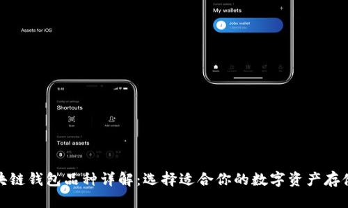 : 区块链钱包品种详解：选择适合你的数字资产存储方案