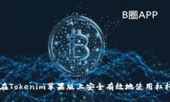 如何在Tokenim苹果版上安全有效地使用杠杆交易