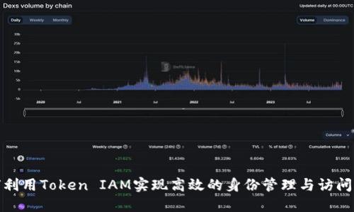 如何利用Token IAM实现高效的身份管理与访问控制