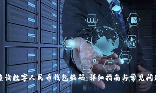 如何查询数字人民币钱包编码：详细指南与常见问题解析