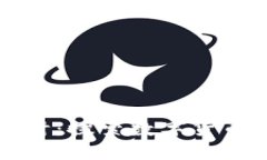 区块链支付钱包的设计：探索数字货币新时代的