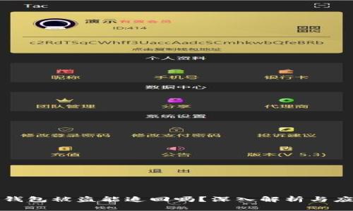 虚拟币钱包被盗能追回吗？深入解析与应对措施