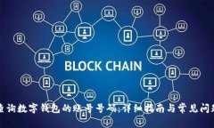 如何查询数字钱包的账号号码：详细指南与常见