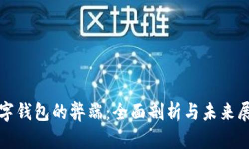 数字钱包的弊端：全面剖析与未来展望